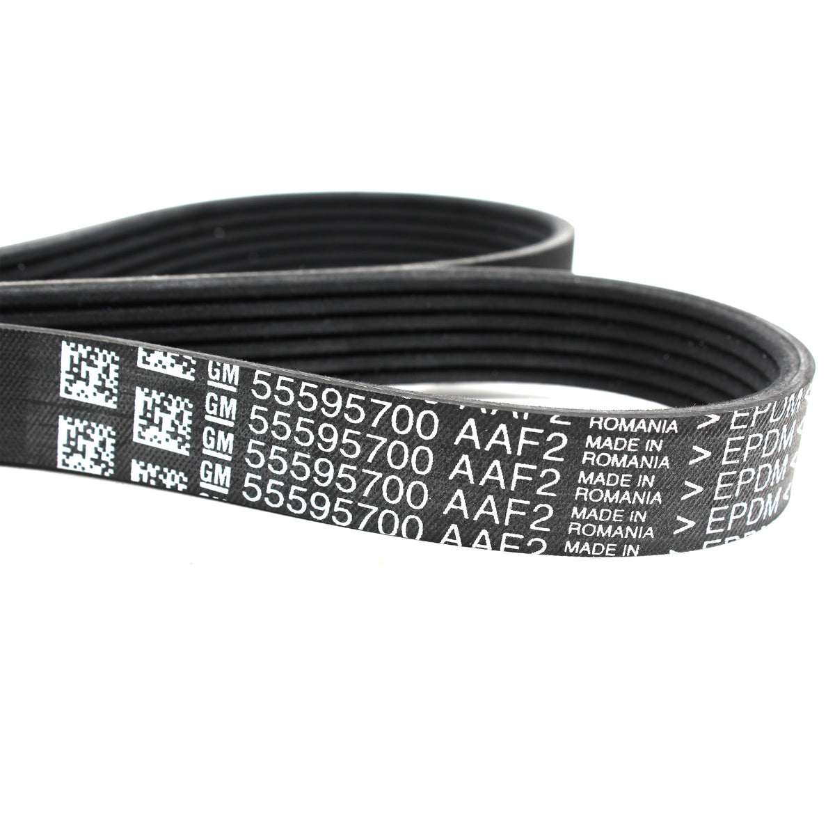 GENUINE Serpentine Belt &amp; Tensioner for 13-18 Buick Encore Sonic Trax 55595700