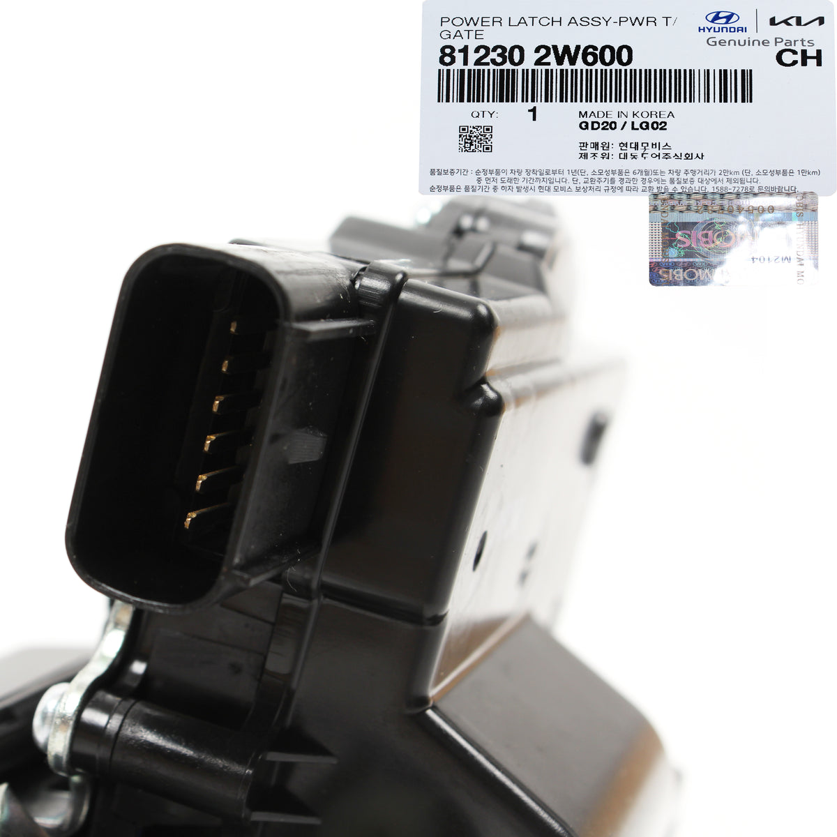 GENUINE Trunk Tailgate Lock Latch for 13-18 Hyundai Santa Fe Sport 812302W600