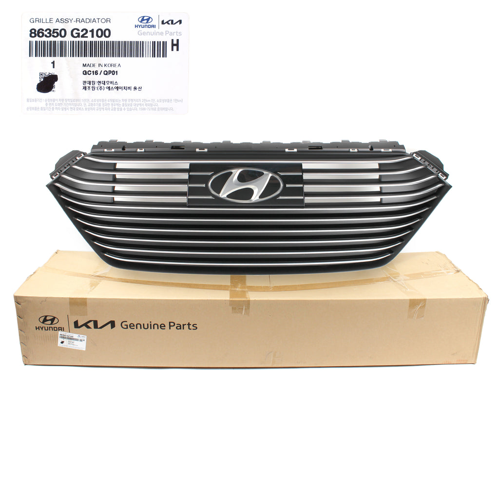 Genuine Hyundai Radiator Grille For 2017-2019 Ioniq – OEM 86350G2000EB, Horizontal Billet, Black Plastic, Direct Replacement